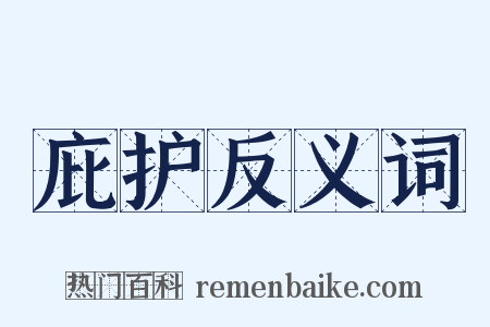 庇护反义词是什么意思的图片